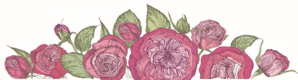 bottom floral bottom floral